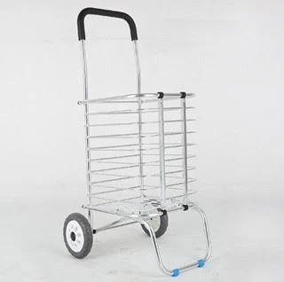 Food Shopping Cart